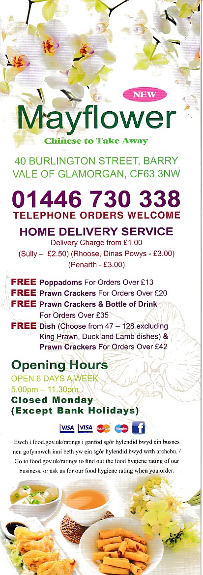 Menu of Mayflower Chinese Takeaway in Barry