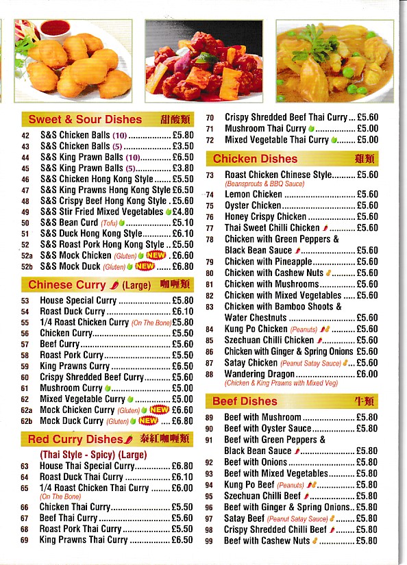 Menu of New Garden, Chinese Takeaway in Barry