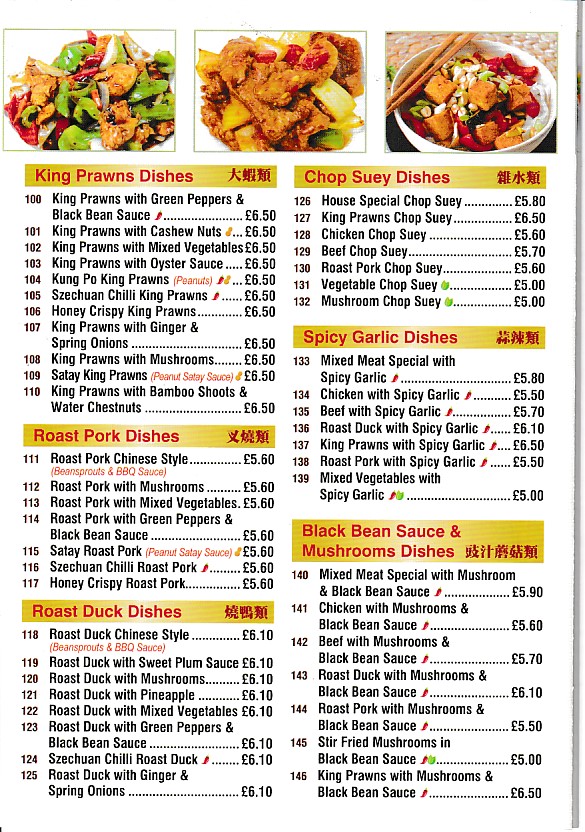 Menu of New Garden, Chinese Takeaway in Barry